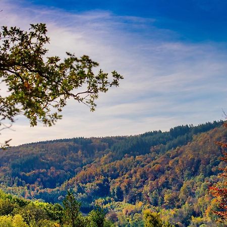 Le Chalet Vresse-sur-Semois Eksteriør billede