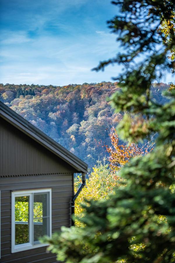 Le Chalet Vresse-sur-Semois Eksteriør billede